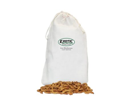 Nutrition Live Mealworms