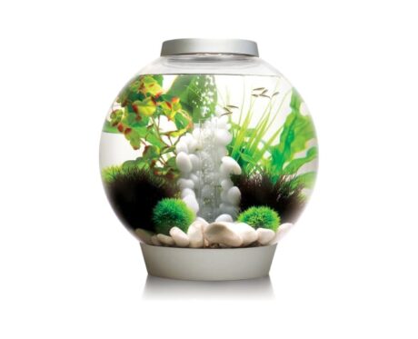 Classic LED Fish Aquarium