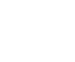 Apollo Pharmas